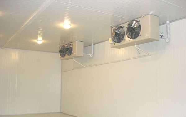 冷庫是否可以起到殺菌消毒的作用？