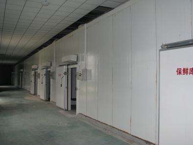氣調(diào)庫相比較保鮮庫而言的話都有哪些特點？