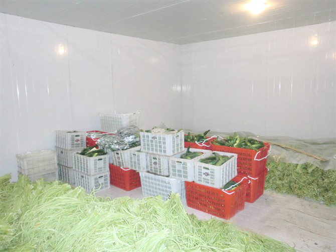 小型冷庫的發(fā)展前景