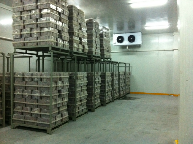 冷庫(kù)裝什么燈合適？冷庫(kù)燈和普通燈有有什么區(qū)別