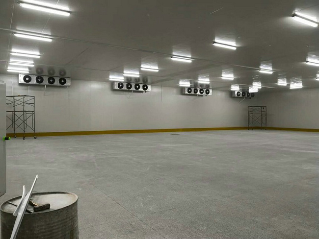 建造100平方冷凍庫(kù)需要多少錢(qián)？