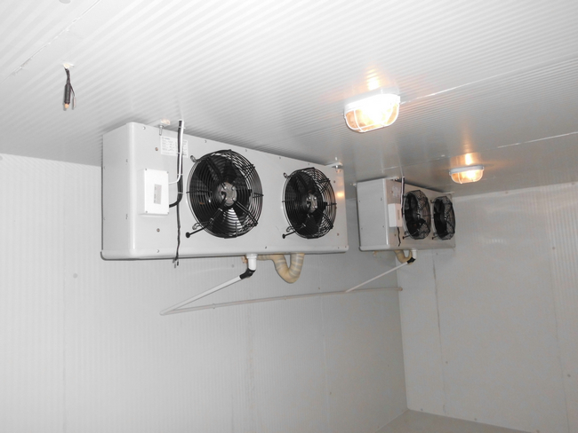 什么是冰庫？冰庫如何設計建造